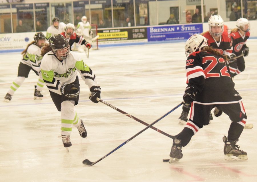 Craig sophomore Abby Humphrey works to advance the puck.