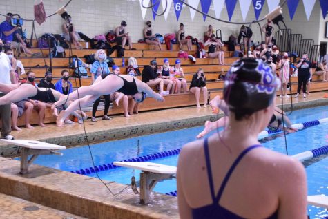Junior Maya VanBerkum springs from the blocks at the start of the 50 freestyle.