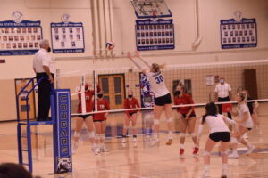 Volleyball defeats Sun Prairie