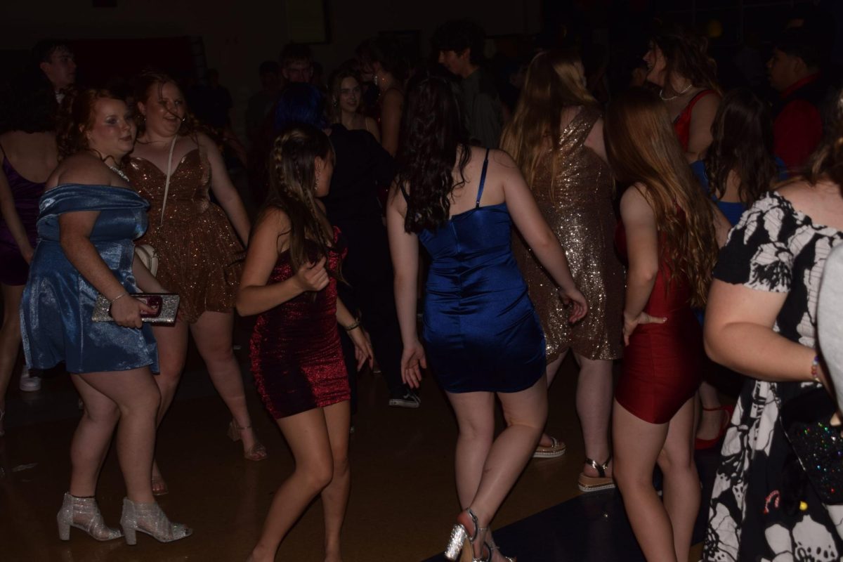 DSC_0199