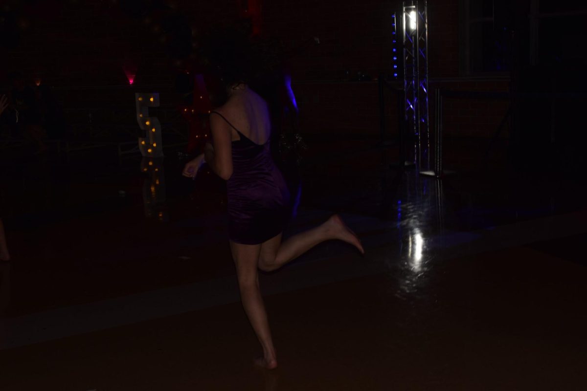 DSC_0227