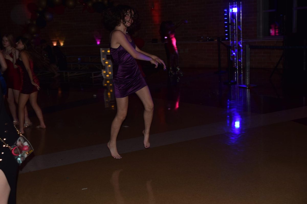 DSC_0228
